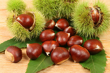 Image showing Chestnuts.