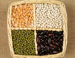 Image showing Beans.