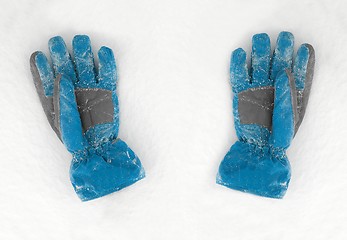 Image showing Gloves