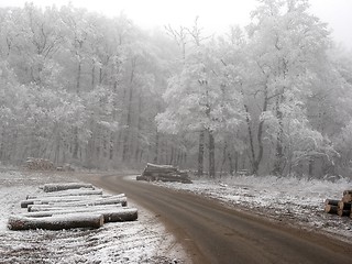 Image showing Winter