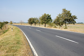 Image showing Road