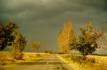 Image showing In line road in autumn