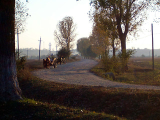 Image showing Wagon on rural road