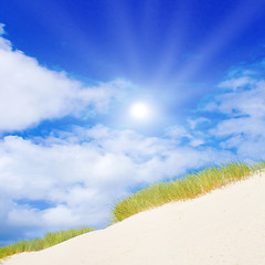 Image showing Idyllic dunes with sunlight