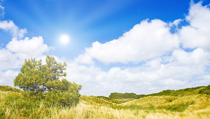 Image showing Idyllic dunes with sunlight