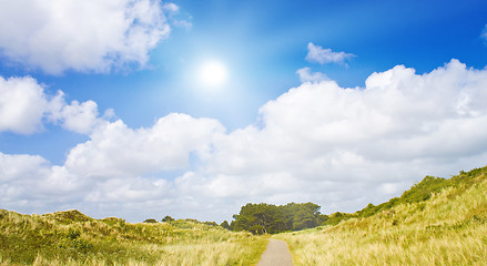 Image showing Idyllic dunes with sunlight