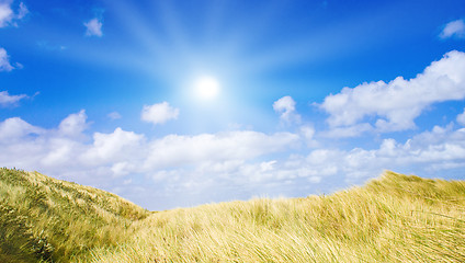 Image showing Idyllic dunes with sunlight