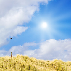 Image showing Idyllic dunes with sunlight