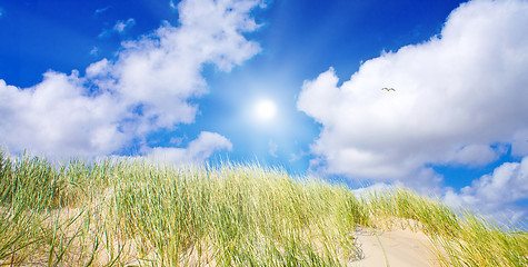 Image showing Idyllic dunes with sunlight