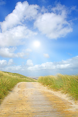 Image showing Idyllic dunes with sunlight