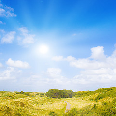 Image showing Idyllic dunes with sunlight