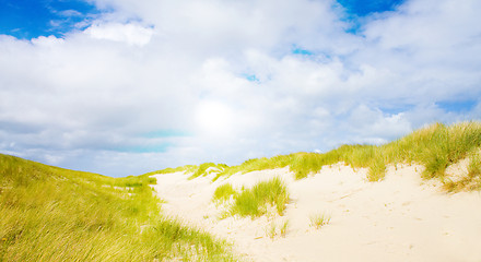 Image showing Idyllic dunes with sunlight