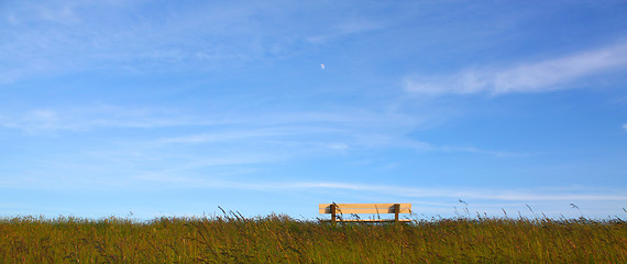 Image showing Idyllic lawn with bench