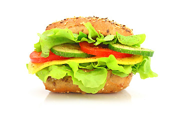 Image showing Fresh sandwich with cheese and vegetables