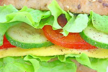 Image showing Fresh sandwich with cheese and vegetables