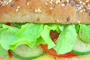 Image showing Fresh sandwich with cheese and vegetables