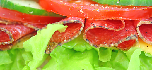 Image showing Fresh sandwich with salami cheese and vegetables