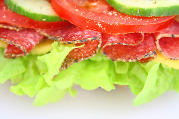 Image showing Fresh sandwich with salami cheese and vegetables