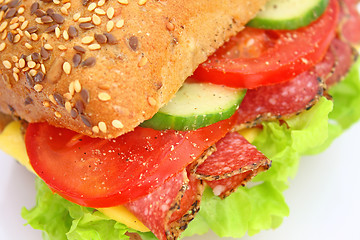 Image showing Fresh sandwich with salami cheese and vegetables