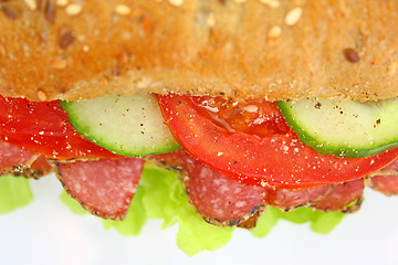 Image showing Fresh sandwich with salami cheese and vegetables