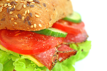 Image showing Fresh sandwich with salami cheese and vegetables