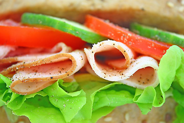 Image showing Fresh sandwich with ham and cheese and vegetables