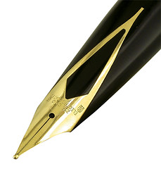 Image showing Fountain Pen