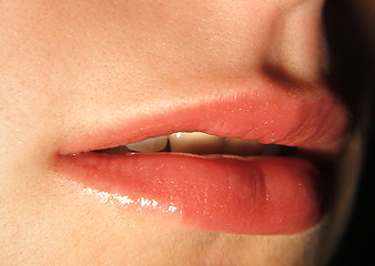 Image showing Woman Lips - macro