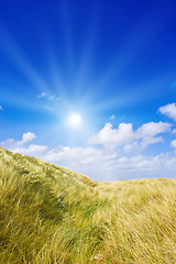 Image showing Idyllic dunes with sunlight
