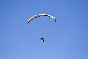 Image showing Paraglider