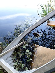 Image showing Boat in Autumn 