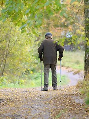 Image showing Old Man 