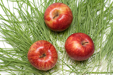 Image showing Three red apples, green herb