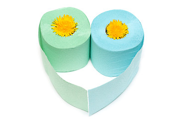 Image showing Two rolls of the toilet paper