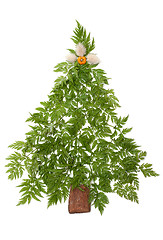 Image showing Decorative cristmas spruce