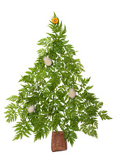 Image showing Decorative cristmas spruce