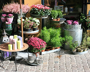 Image showing Outdoor flowershop