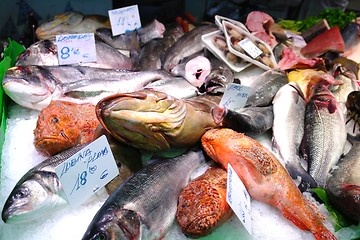 Image showing Fish Market