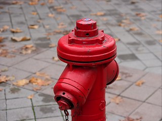 Image showing Hydrant