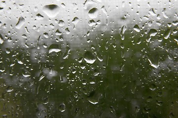 Image showing Droplets