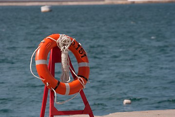 Image showing Lifeguard