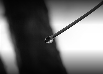 Image showing the rain drop