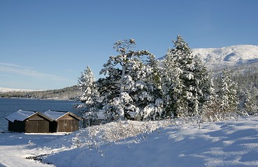 Image showing Winter lake