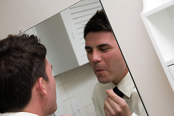 Image showing Checking Himself in the Mirror