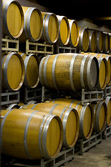 Image showing Winery Cellar Barrels