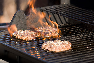 Image showing Flaming Hamburgers