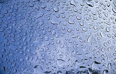 Image showing Water Droplets