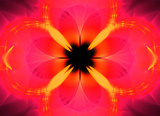 Image showing Tulip Fractal Texture