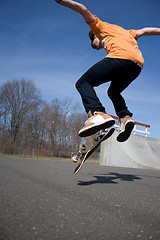 Image showing Skateboarder Jumping