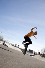 Image showing Skateboarding Tricks